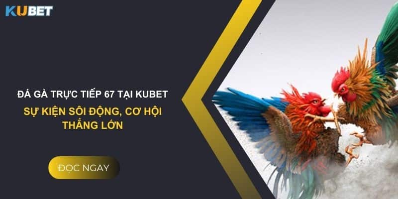 Đá gà trực tiếp 67 tại Kubet: Sự kiện sôi động, cơ hội thắng lớn