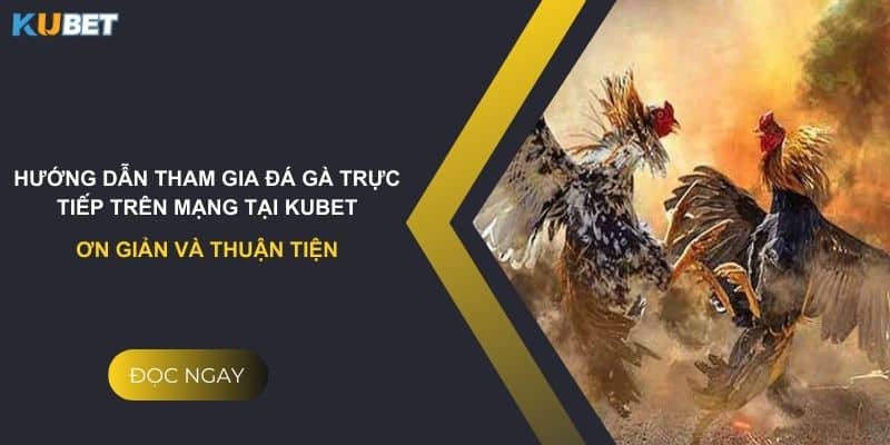 Hướng dẫn tham gia đá gà trực tiếp trên mạng tại Kubet: Đơn giản và thuận tiện