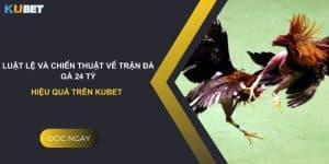 Luật lệ và chiến thuật về trận đá gà 24 tỷ hiệu quả trên Kubet