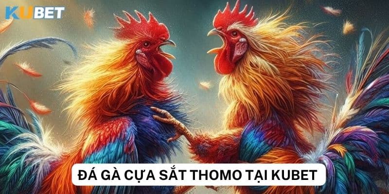 Tính năng đặc biệt của trang web Kubet cho game đá gà cựa sắt thomo