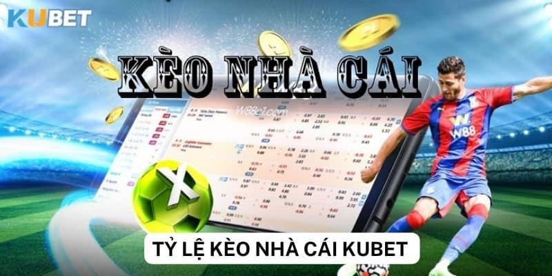 Cách đọc và hiểu tỷ lệ kèo nhà cái trên Kubet