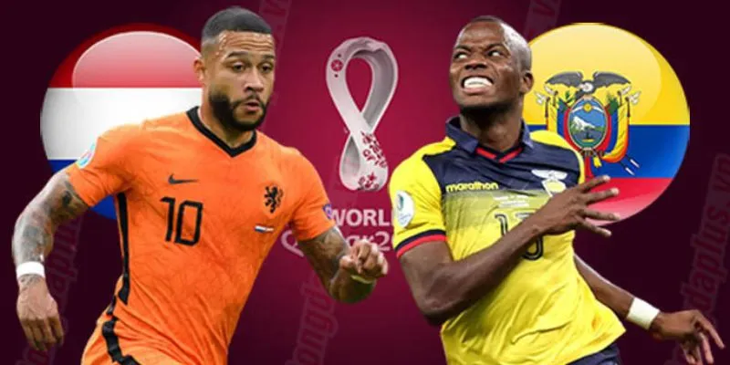 Đọc kèo tài xỉu Qatar vs Ecuador tại 789Bet: Mẹo cược từ cao thủ