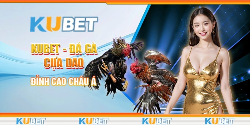 Đá gà cựa dao