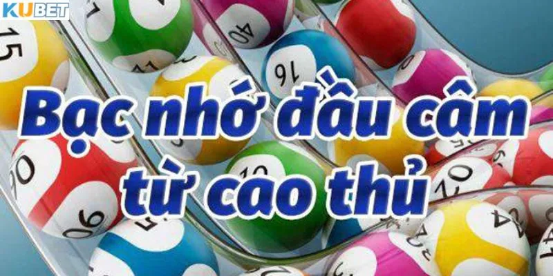 Tìm hiểu về bạc nhớ đầu câm