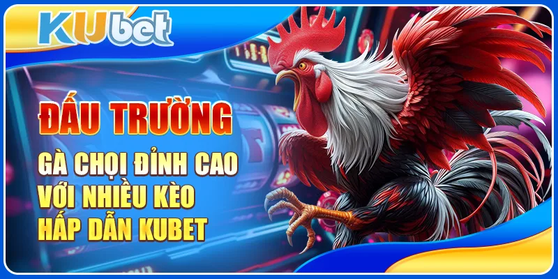 Đấu Trường Gà Chọi