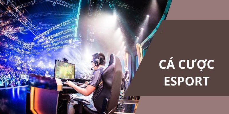 Hướng dẫn tham gia cá cược esport cho người mới