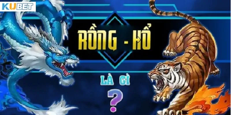 Hướng dẫn tham gia rồng hổ thành công