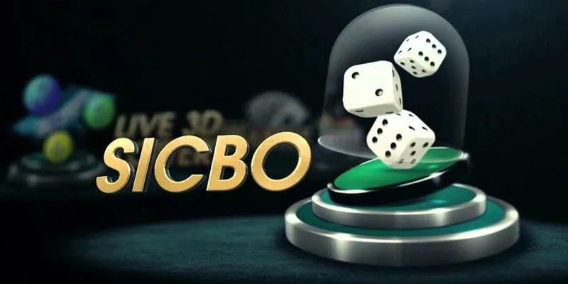 Hướng dẫn từng bước cách chơi sicbo xúc xắc