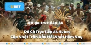 Đá Gà Trực Tiếp 88 Kubet - Cập Nhật Trận Đấu Mới Nhất Hôm Nay